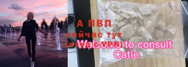 СК Алексин