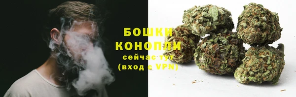 spice Абаза