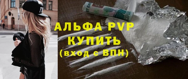 СК Алексин