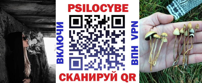 omg ссылки  Почеп  Псилоцибиновые грибы Psilocybe  продажа наркотиков 